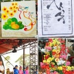 Tet: Vietnamese New Year 2011, Fairfield Showground