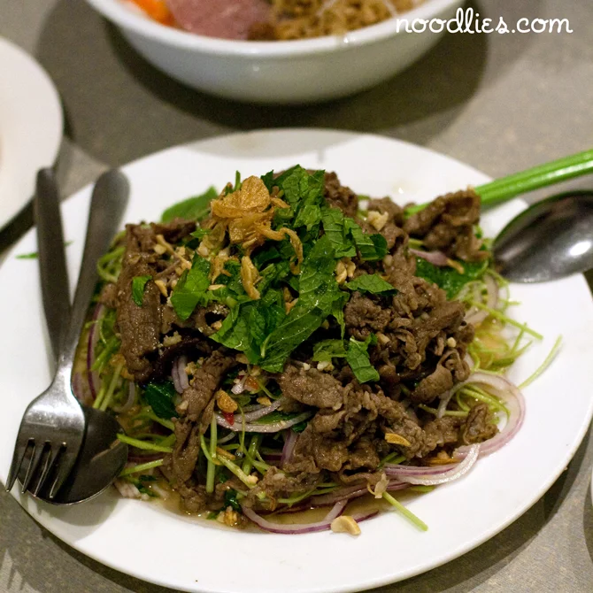 Vietnamese beef salad