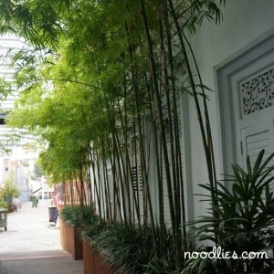the sultan hotel singapore bamboo courtyard