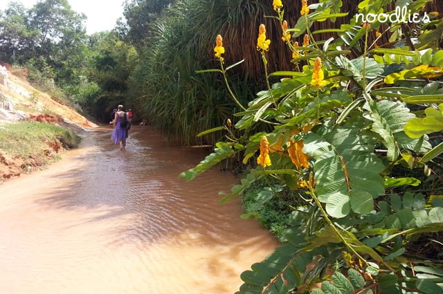 mui ne fairy stream