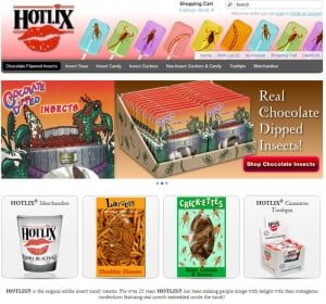 hotlix insect snacks