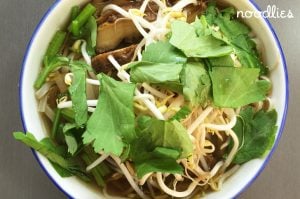 Blossoming Lotus duck noodles